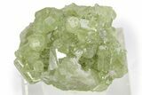 Lustrous Vesuvianite Crystal Cluster - Jeffrey Mine, Canada #240654-1